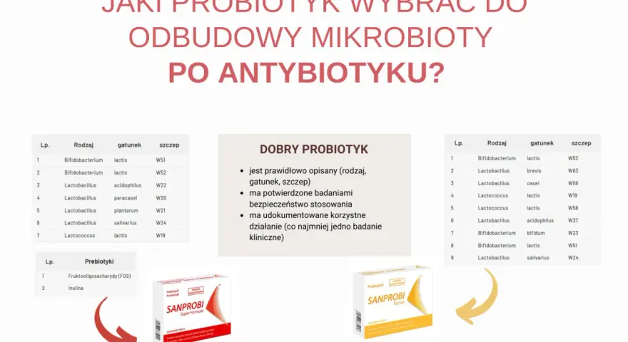Czy można brać probiotyki profilaktycznie? Tabela przedstawia różne szczepy bakterii, które pomagają odbudować mikrobiotę po antybiotyku.