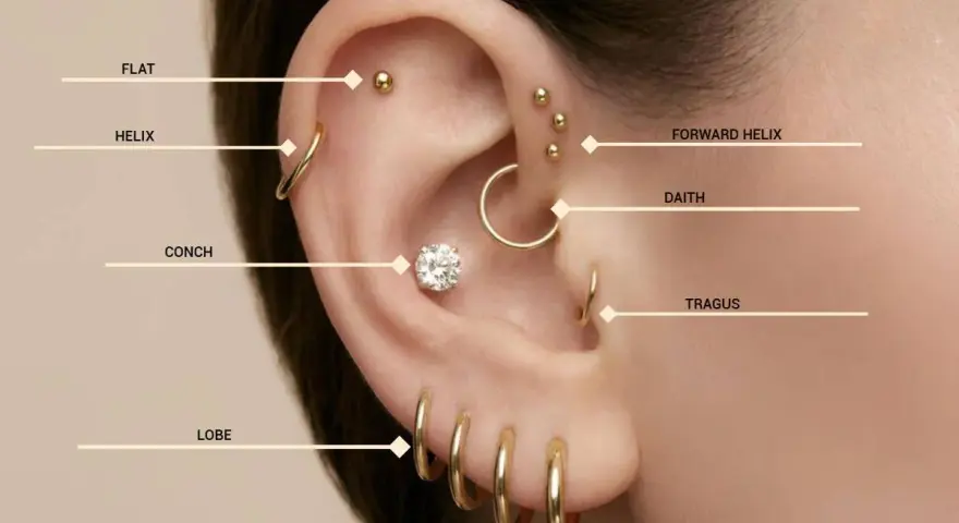Złote kolczyki w uchu: flat, helix, conch, lobe, forward helix, daith, tragus. Różne nazwy kolczyków w uchu.