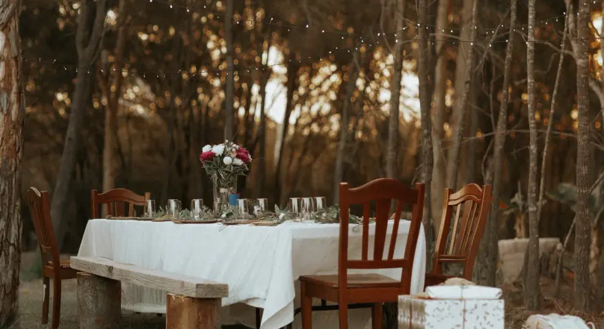 A beautifully set table in a forest clearing, ready for the reception and care of guests. String lights twinkle above, and a floral centerpiece graces the linen-covered table.