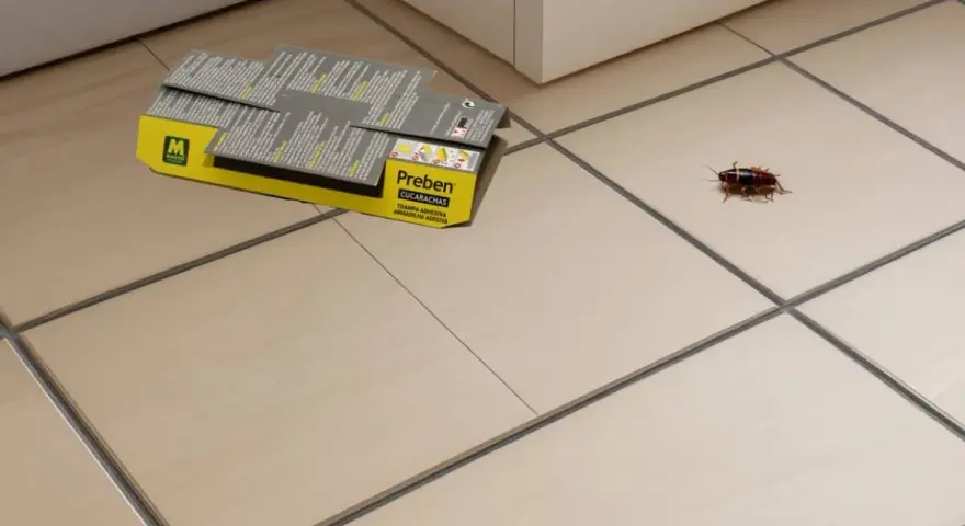 Una cucaracha se encuentra cerca de una caja de trampas adhesivas Preben, lista para desinfectar cucarachas.