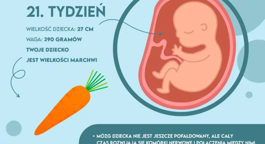 Ile waży dziecko w 21 tygodniu – zaskakujące fakty o wadze płodu