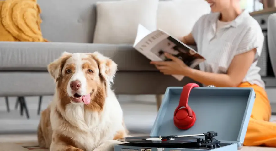 Pies leży obok gramofonu z czerwonymi słuchawkami, słuchając uspokajającej muzyki dla psa. Kobieta czyta magazyn w tle.