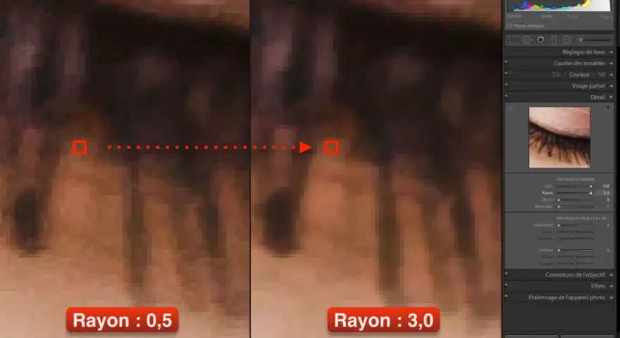 Comparaison de la netteté photo gratuit : rayon 0,5 vs 3,0. Zoom sur des cils, montrant l'impact du réglage du rayon sur la netteté.