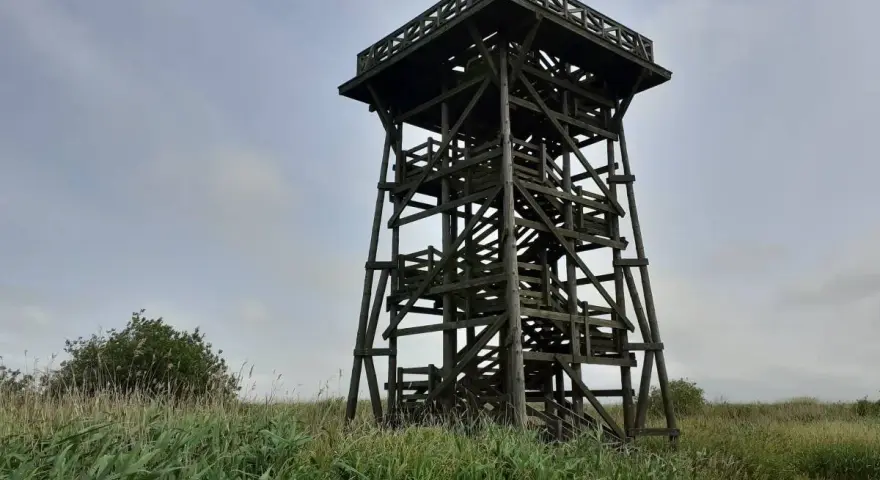 Drewniana wieża widokowa nad jeziorem Gardno, otoczona wysoką trawą. W dole widać fragment roweru.