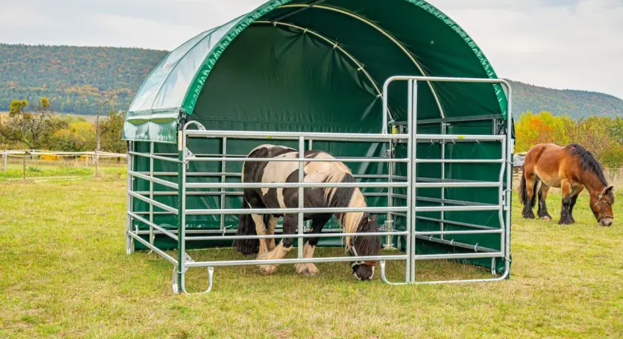 Deux chevaux dans un pré, l'un sous un abri vert. Idéal pour le tarif location pâture pour chevaux.