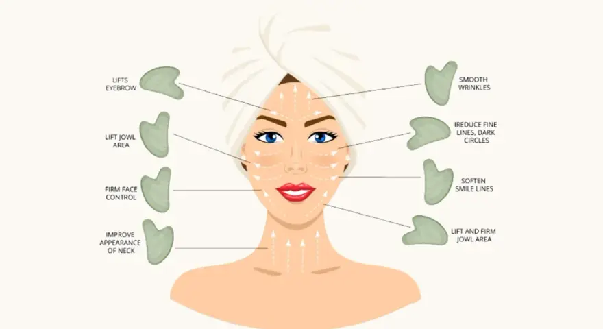 Gua sha wirkung: Illustration zeigt, wie Gua Sha die Augenbrauen hebt, Falten glättet und die Kieferpartie strafft.