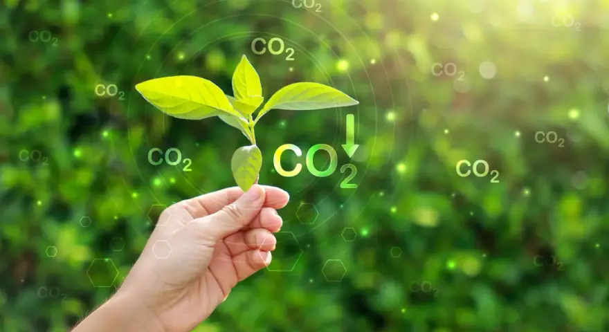 Chiny: Lider emisji CO2 czy zielonej rewolucji?
