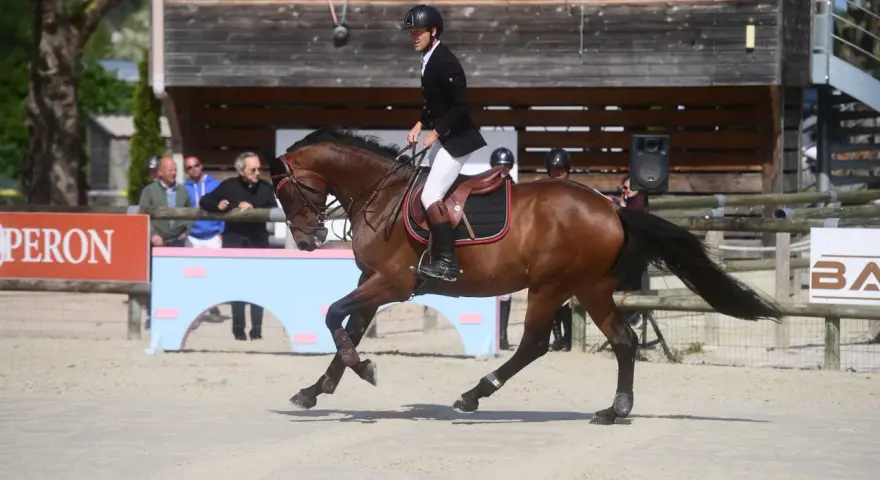 Cavalier en tenue d'équitation sur un cheval brun, en plein saut. Le **cash du Plessis** est visible sur le harnais du cheval.