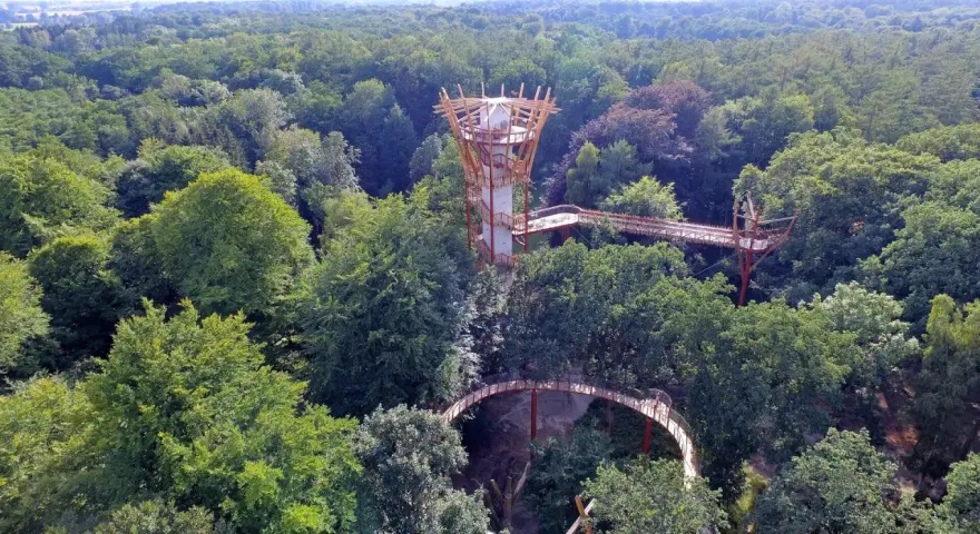 Ein Baumwipfelpfad schlängelt sich durch den Ivenacker Tiergarten. Ein futuristischer Aussichtsturm ragt aus dem dichten Grün.
