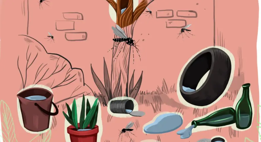 Los mosquitos se reproducen en agua estancada: cubos, macetas, neumáticos, botellas y latas.