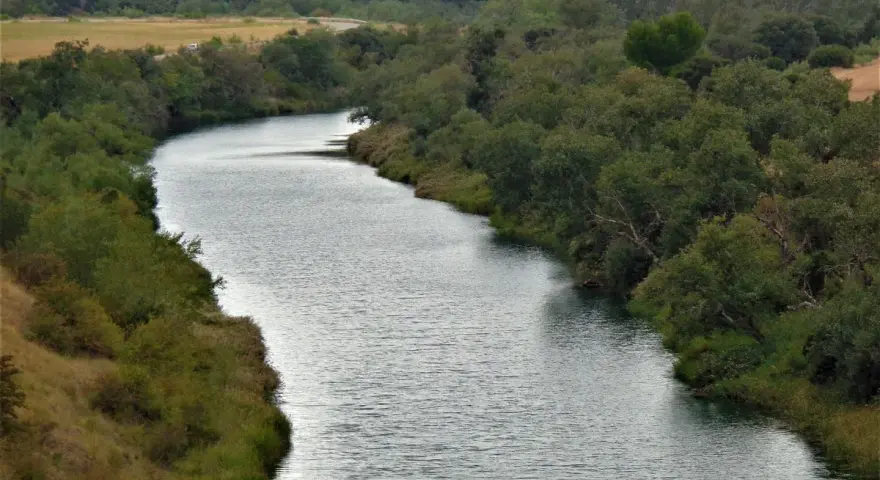 El río serpentea a través del parque fluvial de Zorita de los Canes, rodeado de exuberante vegetación y colinas boscosas.