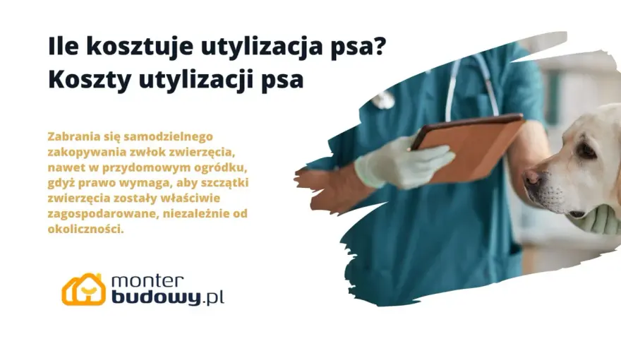 Koszty kremacji psa: Ile kosztuje godne pożegnanie pupila?