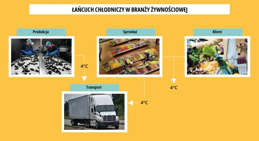 Łańcuch chłodniczy w branży żywnościowej: produkcja, transport, sprzedaż i klient. Utrzymanie 4°C zapobiega psuciu się produktów.