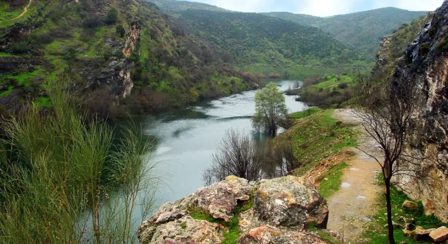 Un río serpentea entre cañones verdes, parte de la ruta cañones del río Lozoya. Un camino de tierra bordea la orilla.
