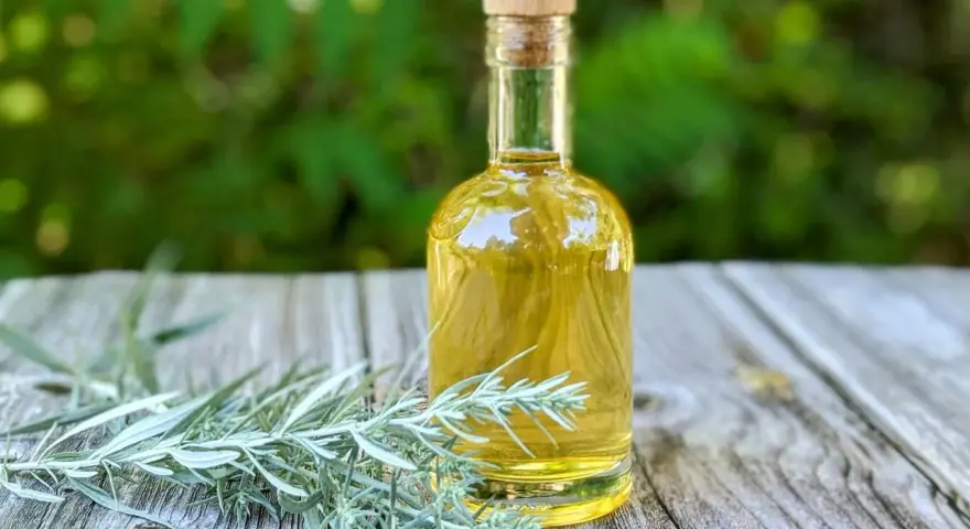 Eine kleine Glasflasche mit gelblicher Flüssigkeit und einem Korkverschluss steht neben frischen Wermut-Zweigen auf einem Holztisch. Ein altes Wermut Rezept zum Nachmachen.