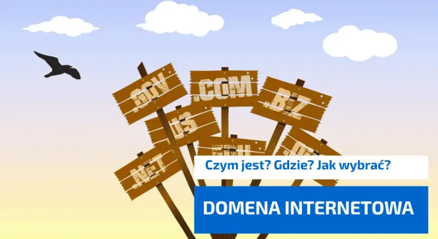 Domena internetowa: Co to jest? Jak działa i ile kosztuje?