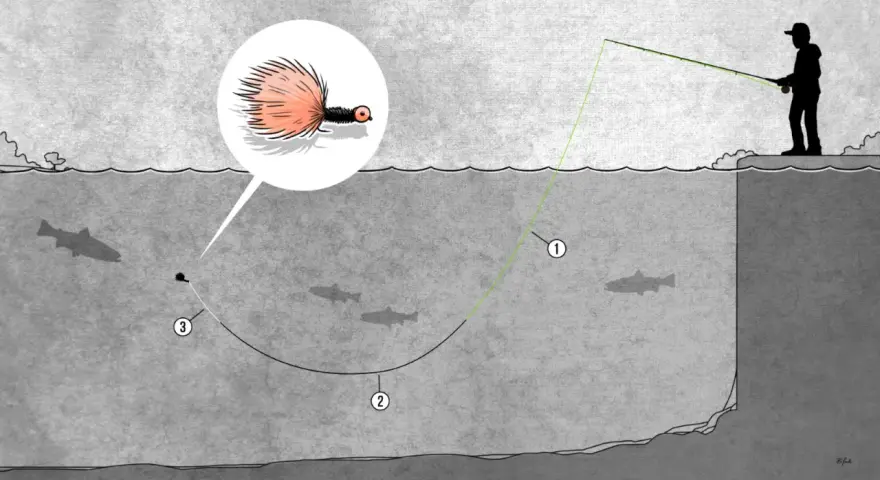 Illustration einer fliegenfischen montage: Ein Angler wirft eine Fliege, die im Detail gezeigt wird, ins Wasser, wo Fische schwimmen.