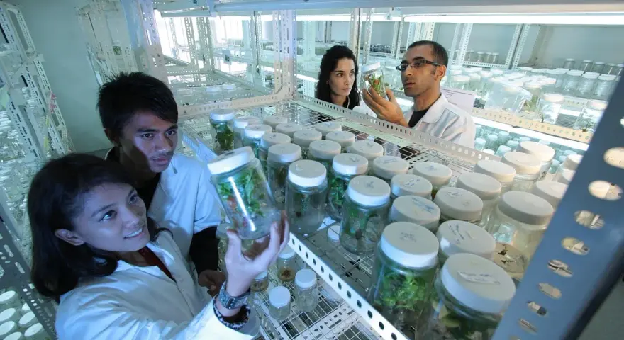 Ricercatori in laboratorio analizzano campioni vegetali in provetta. Un futuro promettente per le biotecnologie mediche, con uno stipendio che riflette l'innovazione.