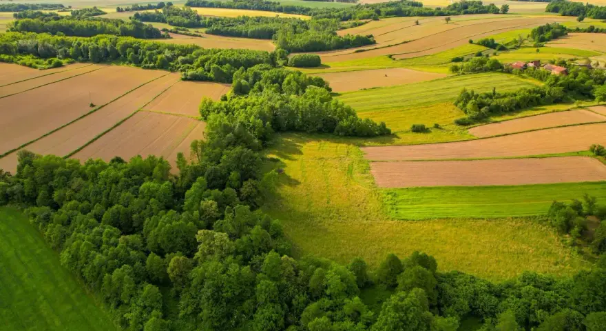 Widok z lotu ptaka na pola uprawne i lasy. Cienie drzew wskazują, jak sprawdzić nasłonecznienie działki.