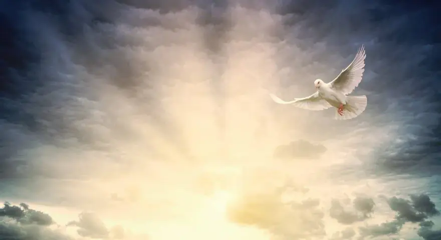 Weiße Taube fliegt durch dramatische Wolken, ein Symbol für Ostern, Himmelfahrt und Pfingsten.