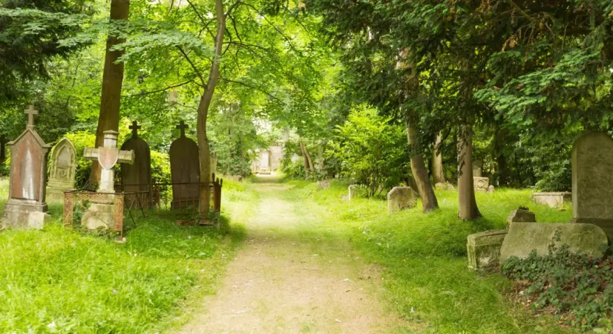 Sentier verdoyant menant à travers le cimetière dormant de Caen, bordé de tombes anciennes et d'arbres majestueux.