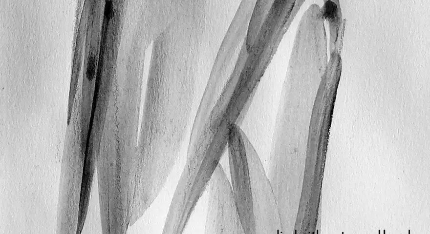 Abstraction en noir et blanc, évoquant la poudre de graphite utilisation dans une œuvre d'art fluide, appliquée à l'eau et au pinceau.