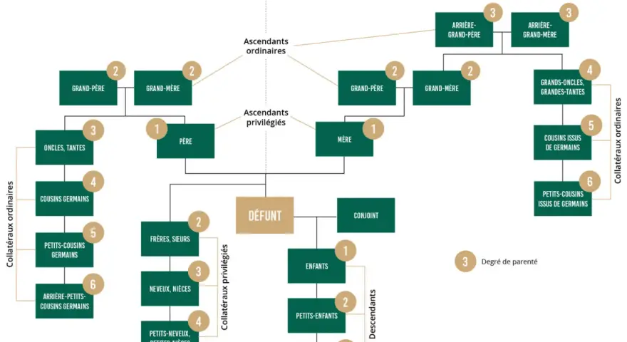 Arbre généalogique montrant comment retrouver les descendants d'une personne décédée, avec les liens familiaux et les degrés de parenté.
