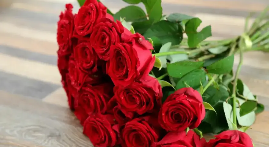 Piękny bukiet czerwonych róż, każda z kropelkami rosy, leży na drewnianym tle. Te dwie róże są częścią większej, romantycznej kompozycji.