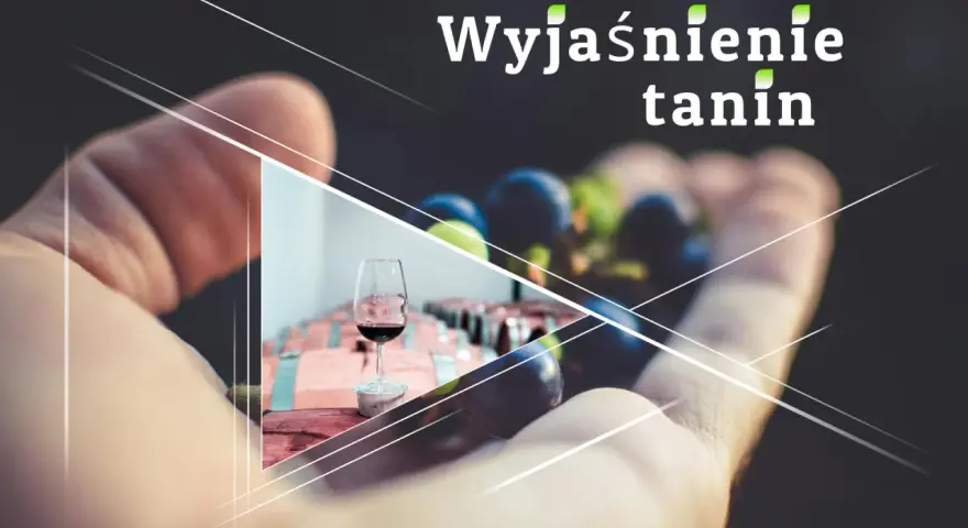 Wyjaśnienie tanin w winie. Kieliszek czerwonego wina, winogrona i beczki w tle.