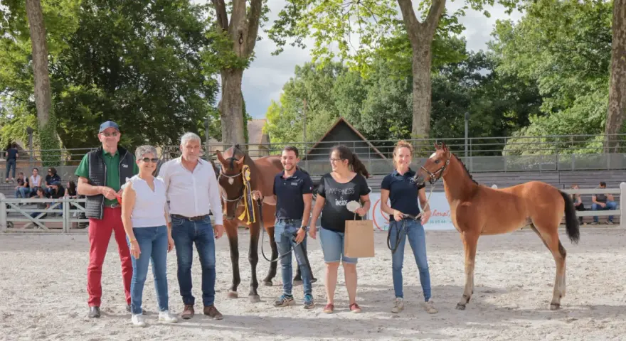 L'élevage de poney de sport présente ses jeunes champions. Une famille fière pose avec ses poulains primés.