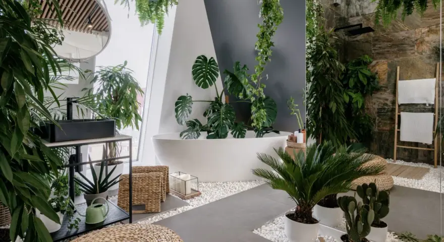 Łazienka pełna zieleni. Monstera, paprocie i inne rośliny tworzą tropikalny klimat. Idealne **jakie kwiaty do łazienki** dla miłośników natury.