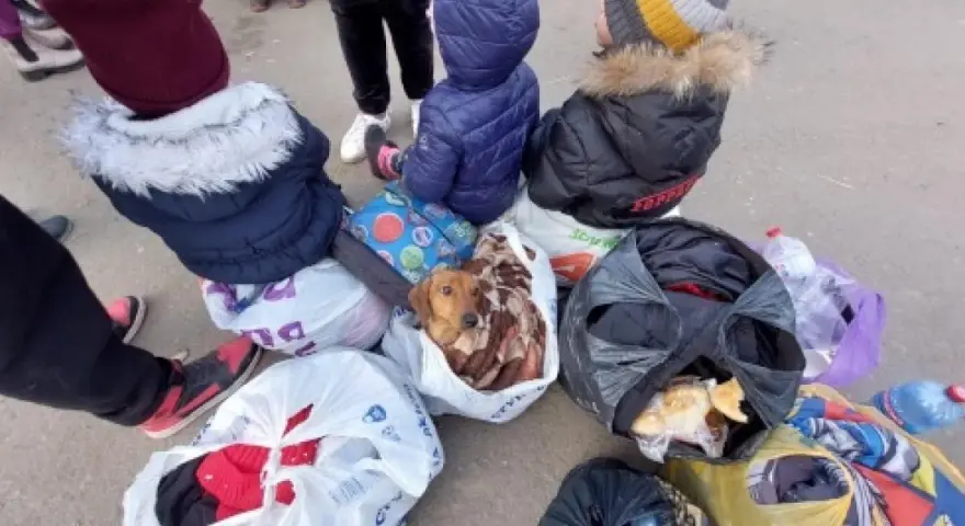 Czy mężczyźni mogą wyjechać z Ukrainy? Nowe zasady i zmiany w prawie