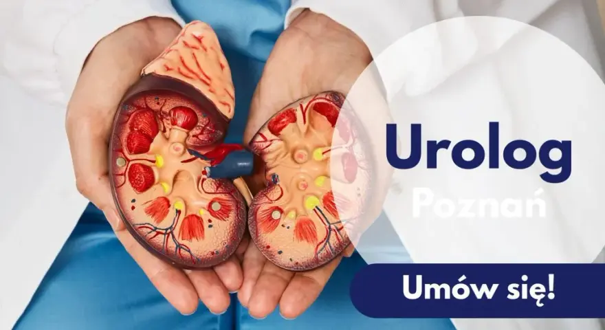 Urolog: Ile kosztuje wizyta? Prywatnie vs NFZ i jak oszczędzić