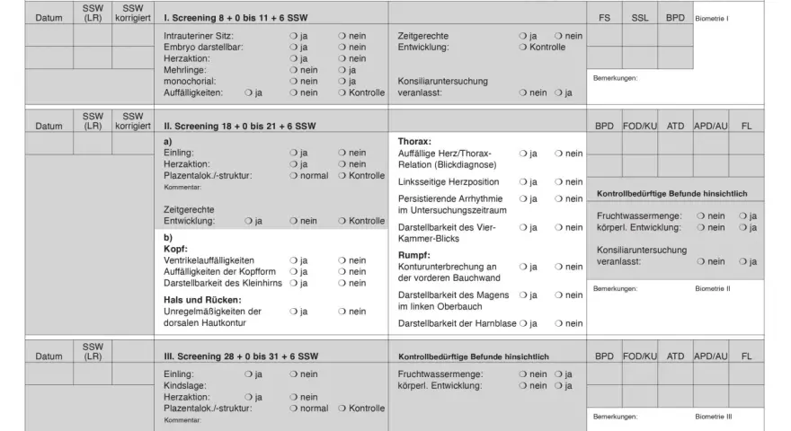 Ultraschalluntersuchungen im Mutterpass: Screening 1, 2 und 3 mit Details zu Herz, Kopf, Rumpf und Entwicklung.