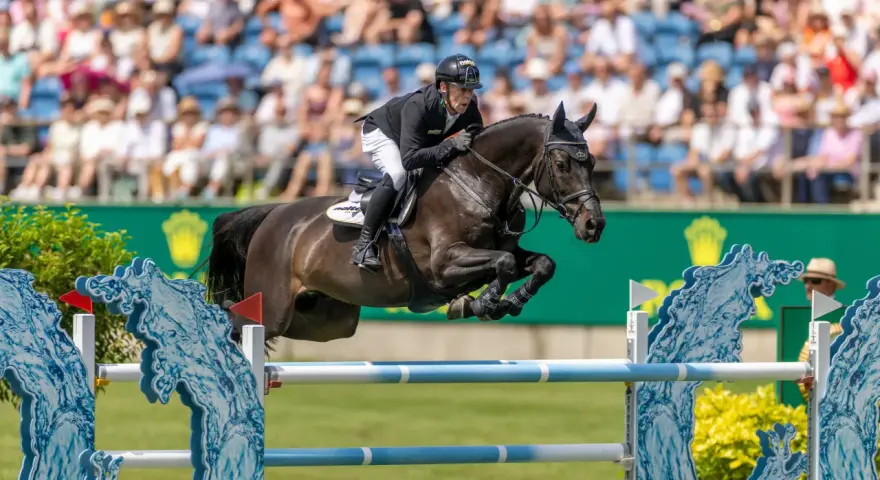 Cavalier en plein saut d'obstacles, le cheval est en l'air, le cavalier porte un casque noir. Le public est en arrière-plan.
