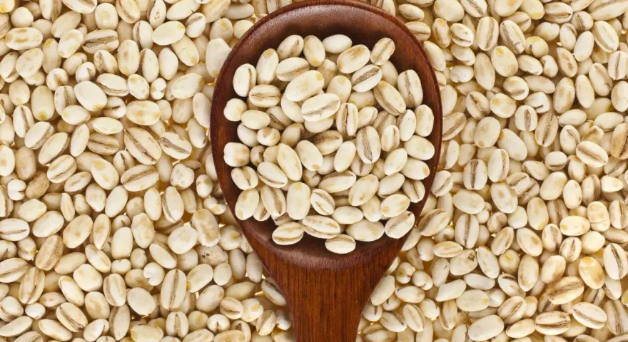 Kasza jęczmienna, widoczna na drewnianej łyżce i rozsypana wokół, zawiera gluten.