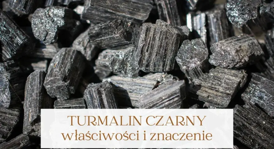 Grupka surowych kryształów turmalinu czarnego, błyszczących w świetle. Kamienie te mają wiele właściwości.