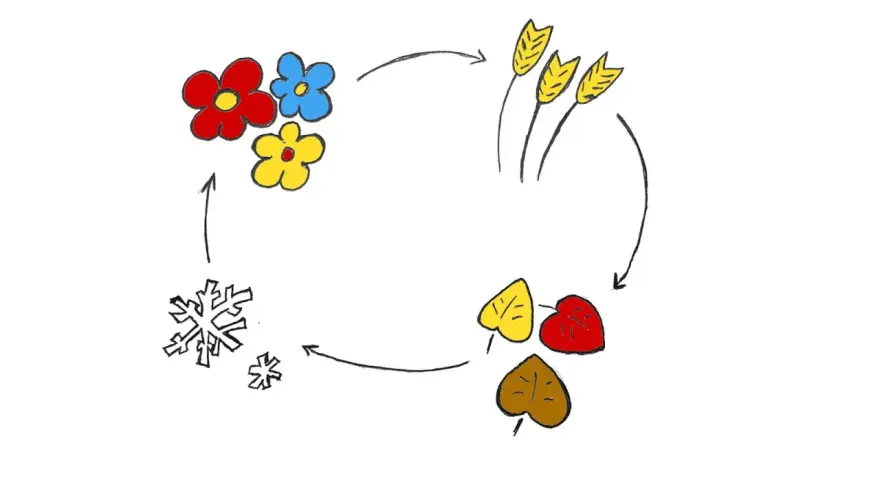 Cykl pór roku: kwiaty, kłosy zboża, liście, śnieżynki. Ilustracja nawiązuje do mitu o Demeter i Korze.