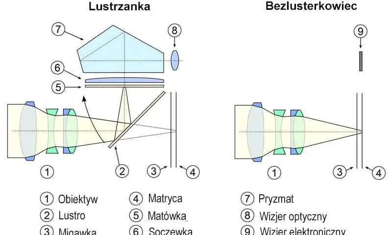 Lustrzanka bez lustra: Dlaczego warto wybrać aparat bezlusterkowy?