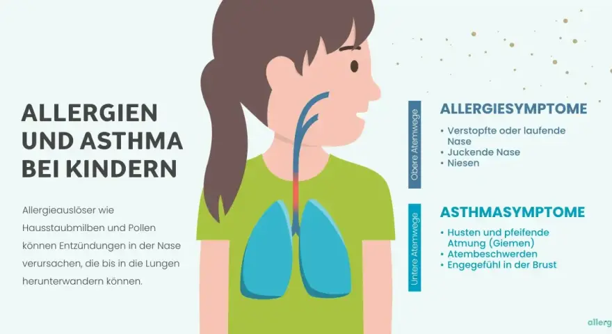 Illustration zeigt ein Kind mit Lungen und Atemwegen. Text erklärt Allergien und Asthma bei Kindern, Symptome wie Husten und Niesen.