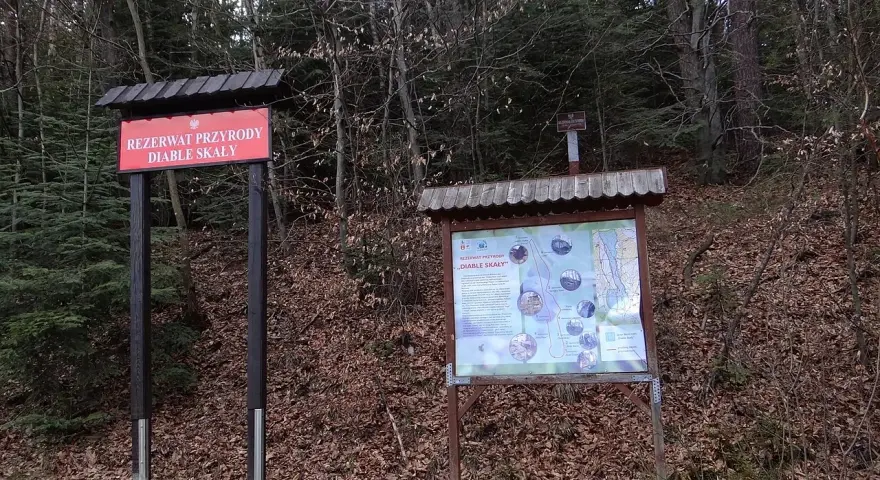 Tablica informacyjna w rezerwacie przyrody Diable Skały. Na tablicy mapa szlaków i opis atrakcji.