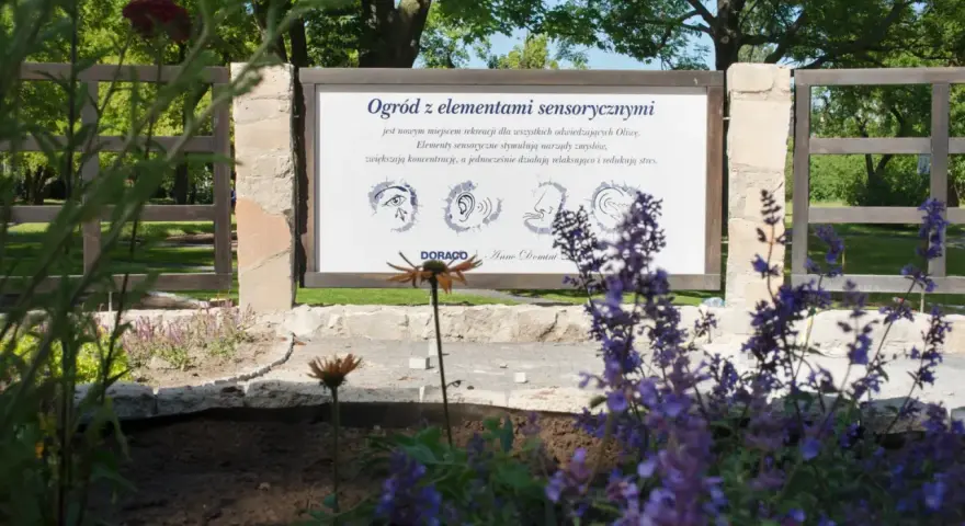 Jak stworzyć ogród sensoryczny dla dziecka? Praktyczny przewodnik
