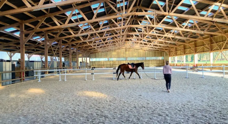 Cheval brun dans un manège d'équitation, guidé par une personne. La structure en bois du toit est visible.