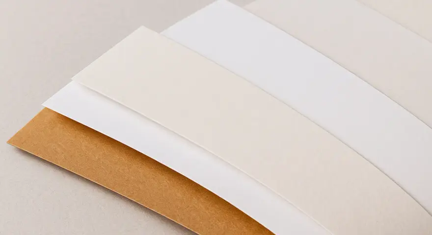 Abanico de diferentes tipos de folio en tonos neutros: marrón, blanco roto y blanco.