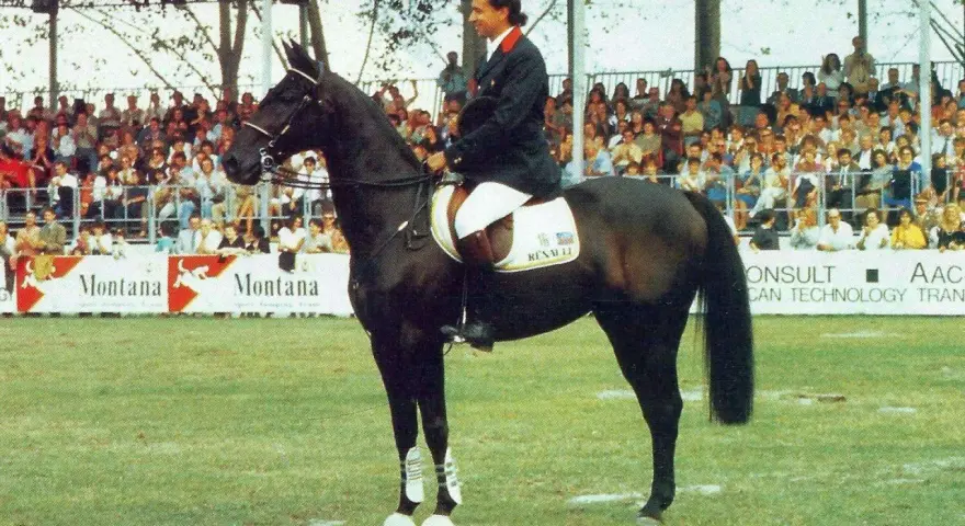 Un cavalier sur Jappeloup, un cheval noir à la taille impressionnante, devant une foule en délire.