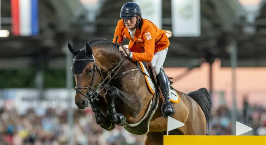 Cavalier néerlandais en tenue orange, en plein saut d'obstacles avec son cheval. Le **comthago vdl** semble prêt pour la victoire.