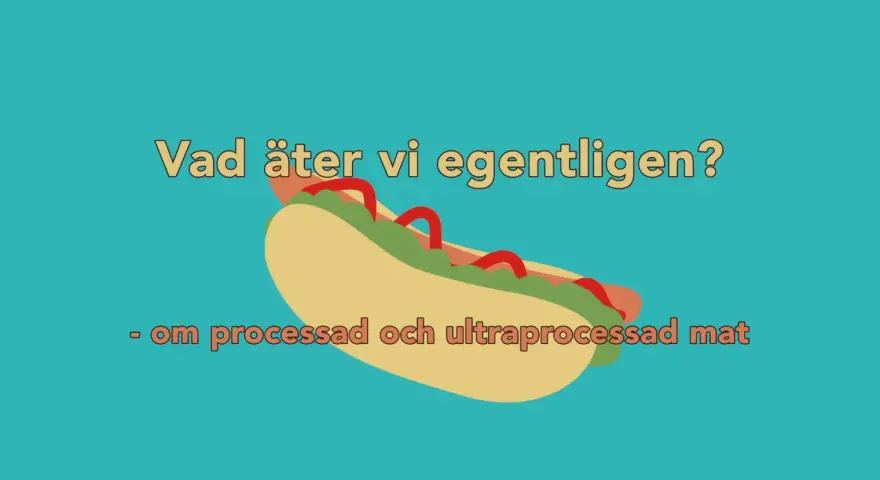En illustration av en korv med bröd, med texten "Vad äter vi egentligen? - om processad och ultraprocessad mat".