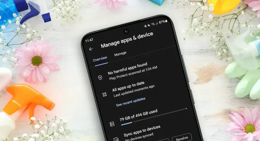 Handy Speicher voll: 79 GB von 494 GB belegt. Zeit für eine digitale Frühjahrsputz-Aktion mit Blumen und Reinigungsmitteln.