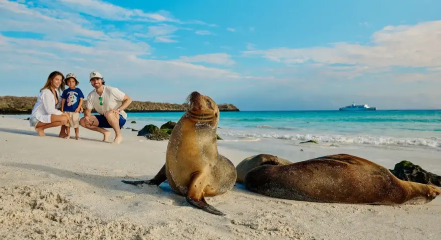 Rodzina na plaży na Galapagos, obok lwów morskich. W tle statek wycieczkowy.