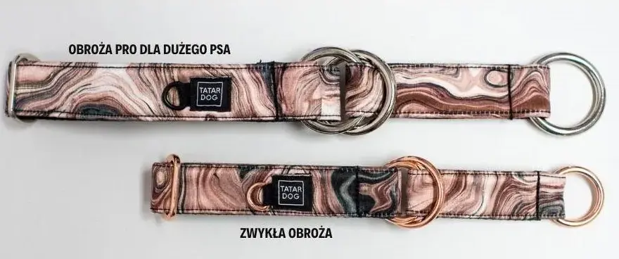 Jaką obrożę dla cane corso wybrać, aby zapewnić mu komfort?